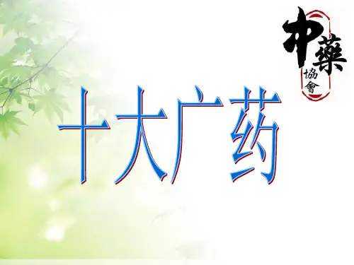 十大广药