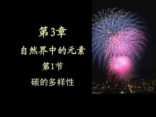 3.1_碳的多样性_PPT课件1
