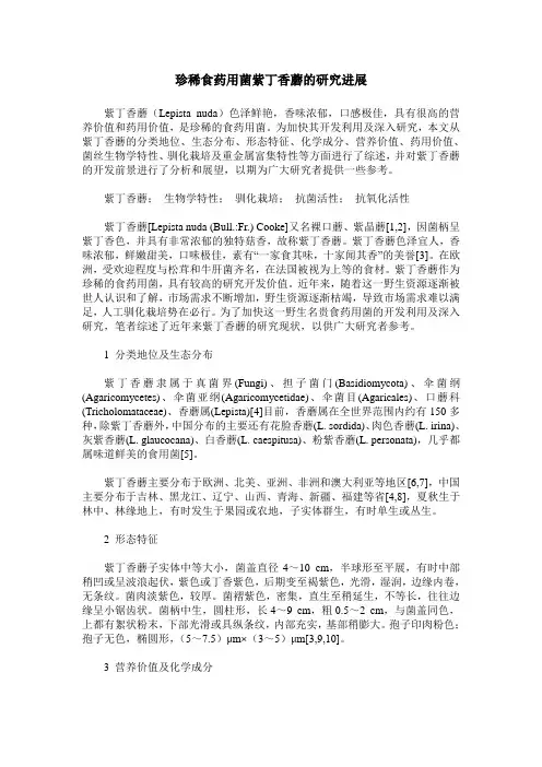 珍稀食药用菌紫丁香蘑的研究进展