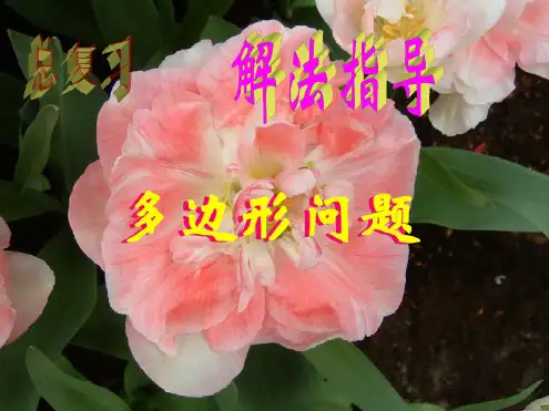 九年级数学多边形问题