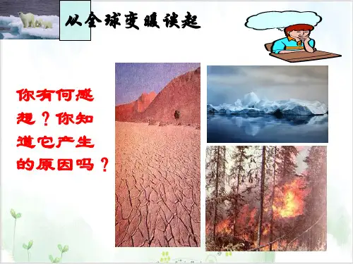 沪粤版初中物理八[上]从全球变暖谈起精美课件