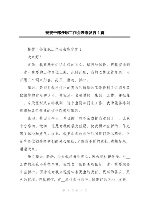 提拔干部任职工作会表态发言4篇