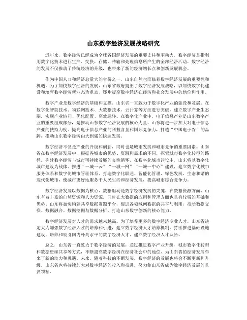 山东数字经济发展战略研究