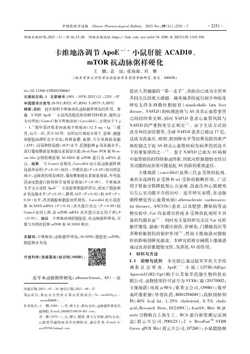 卡维地洛调节ApoE-／-小鼠肝脏ACAD10、mTOR抗动脉粥样硬化