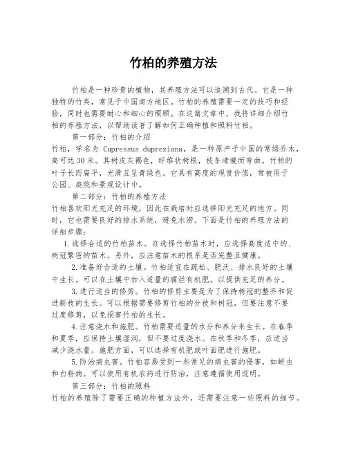 竹柏的养殖方法