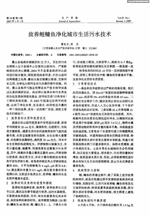 放养鲢鳙鱼净化城市生活污水技术
