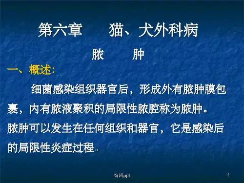 猫犬外科病
