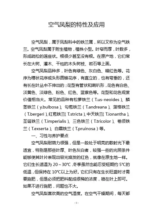 空气凤梨的特性及应用