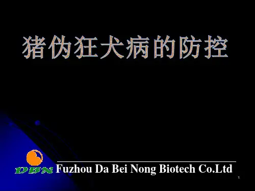 猪伪狂犬病的防控PPT课件