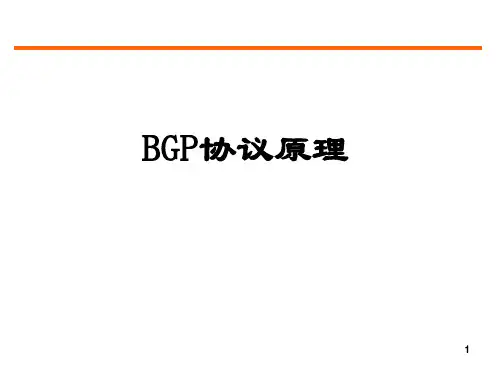 BGP介绍精品PPT课件