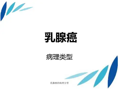 乳腺癌的病理分型 ppt课件