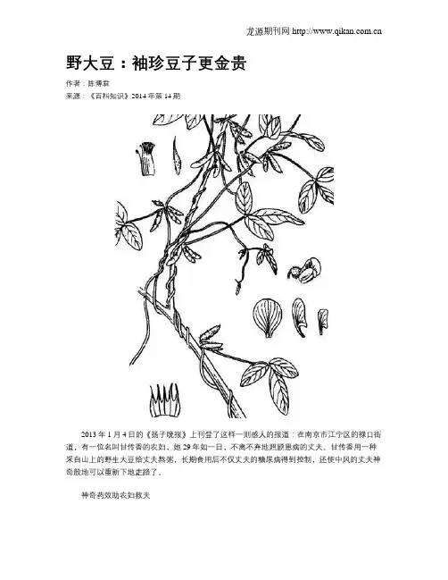 野大豆：袖珍豆子更金贵