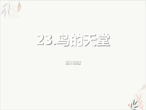 鸟的天堂第二课时ppt课件(完美版)
