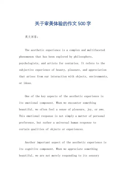 关于审美体验的作文500字