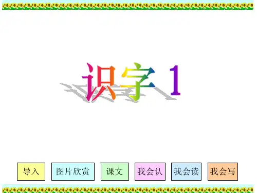 二年级上语文课件-识字1_人教新课标(共22张PPT)
