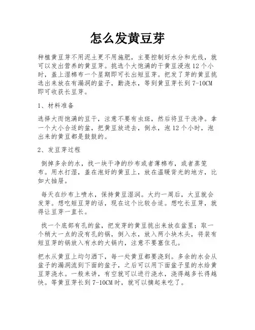 怎么发黄豆芽