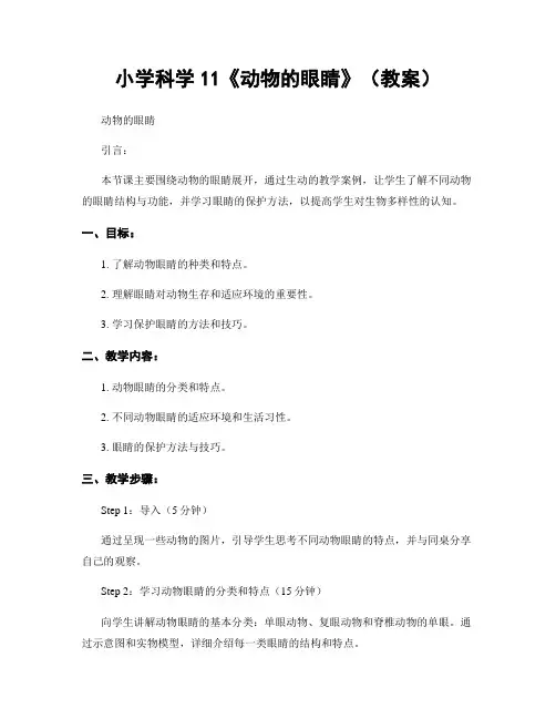 小学科学11《动物的眼睛》(教案)
