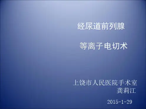 前列腺电切