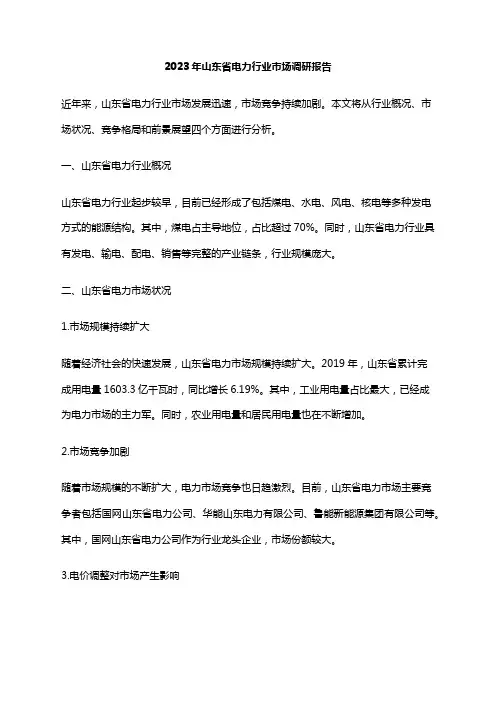 2023年山东省电力行业市场调研报告