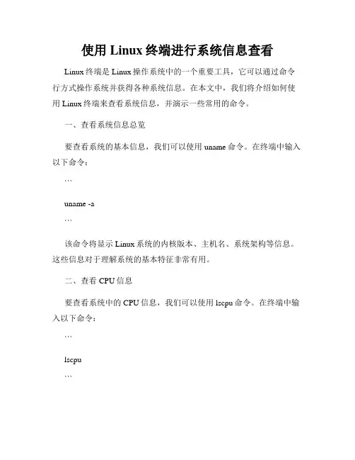 使用Linux终端进行系统信息查看