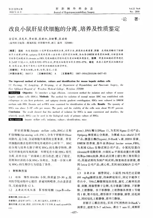 改良小鼠肝星状细胞的分离、培养及性质鉴定