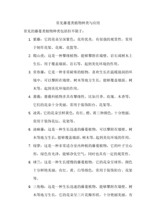 常见藤蔓类植物种类与应用