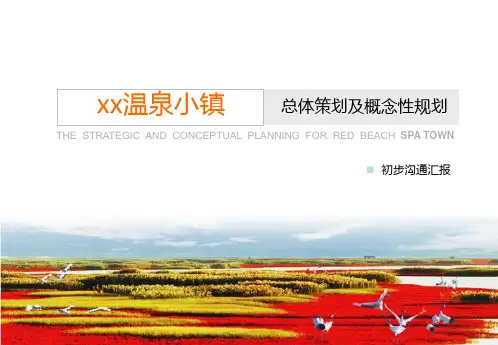 2021年某温泉小镇总体策划及概念性规划方案PPT课件
