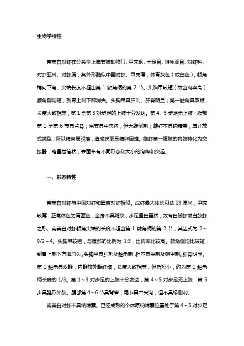 对虾习性