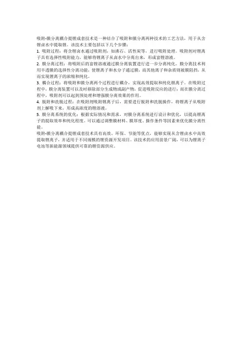 吸附-膜分离耦合提锂成套技