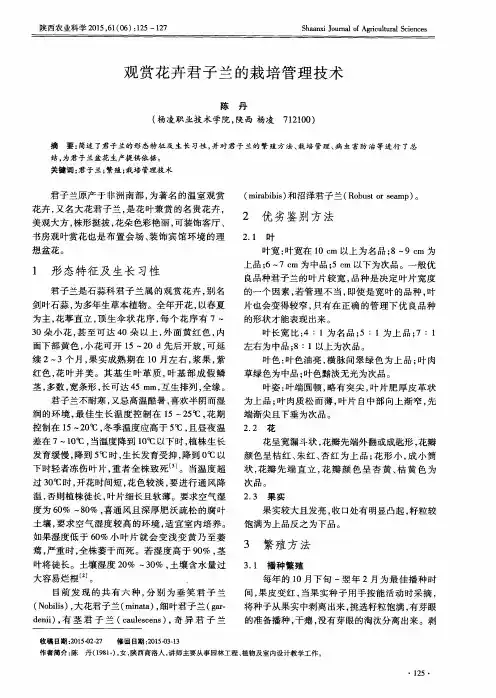 观赏花卉君子兰的栽培管理技术