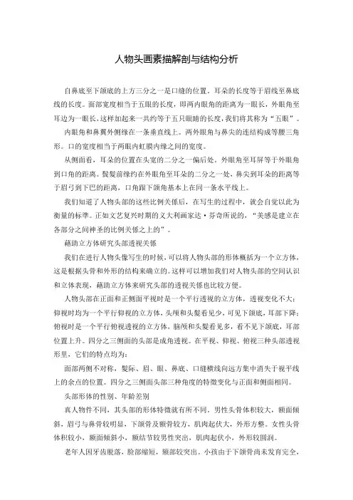 人物头画素描解剖与结构分析