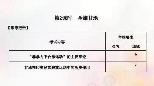 (浙江专用)2018-2019学年高中历史-第四单元 亚洲觉醒的先驱 第2课时 圣雄甘地课件 新人教