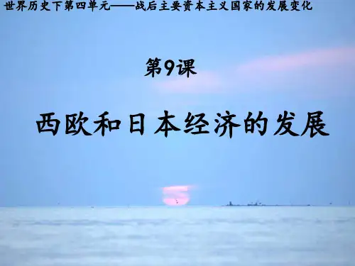 人教版九年级历史下册《四单元 战后主要资本主义国家的发展变化  第9课 西欧和日本经济的发展》课件_13