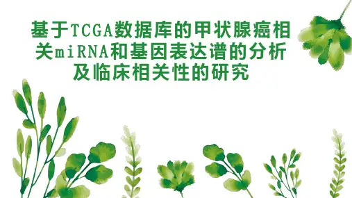 基于TCGA数据库的甲状腺癌相关miRNA和基因表达谱的分析及临床相关性的研究