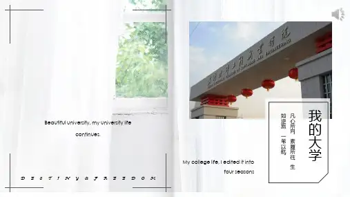 我的大学PPT
