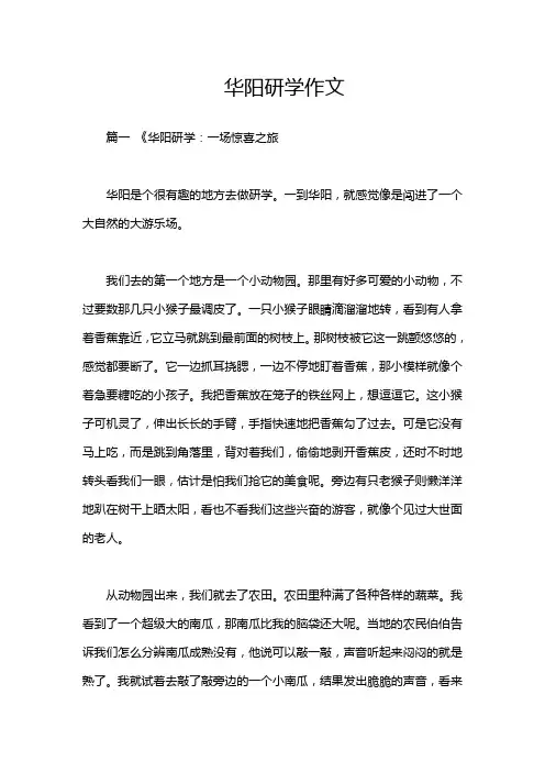 华阳研学作文