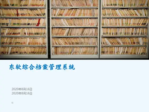 东软SEAS产品介绍