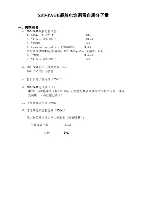 SDS-PAGE凝胶电泳测蛋白质分子量