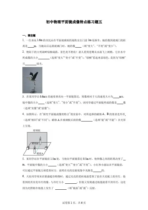 初中物理平面镜成像特点练习题五