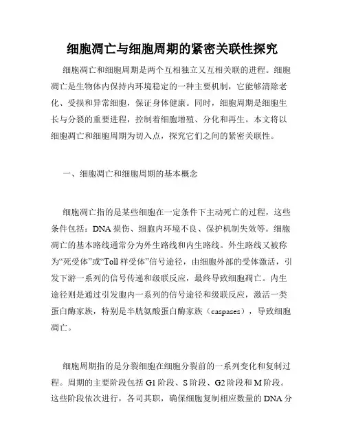 细胞凋亡与细胞周期的紧密关联性探究