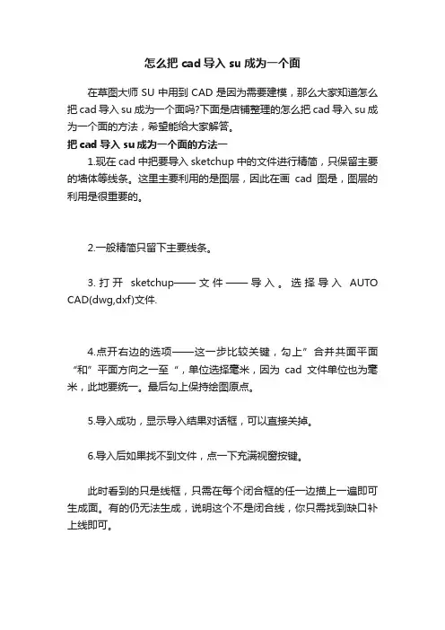 怎么把cad导入su成为一个面