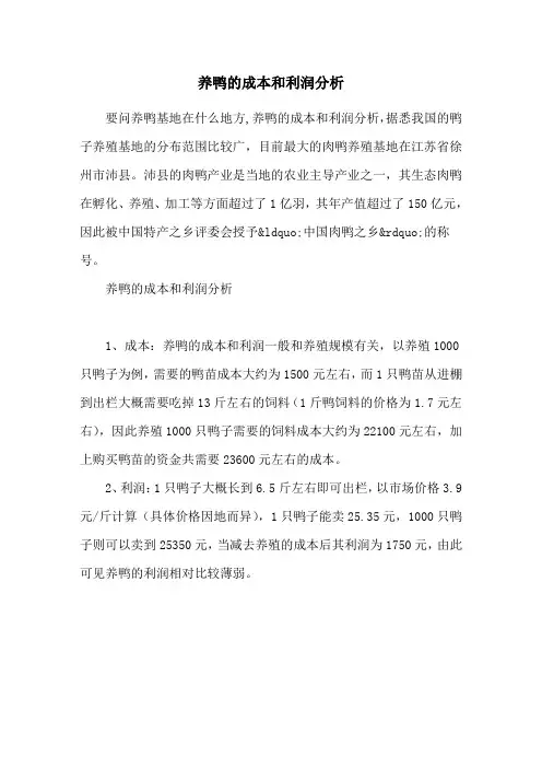 养鸭的成本和利润分析