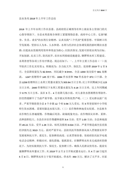 县水务局2019年上半年工作总结