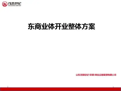 区县城商业地产开业活动整体方案实例PPT幻灯片