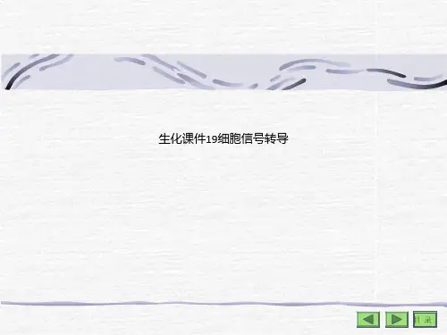生化课件19细胞信号转导
