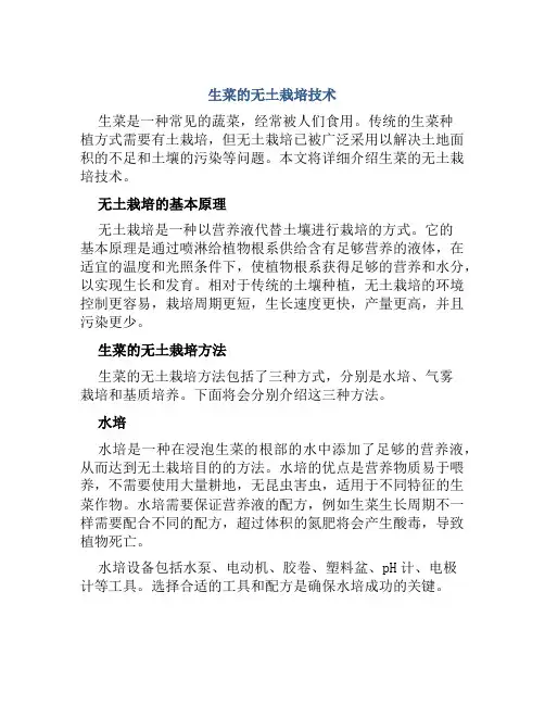 生菜的无土栽培技术