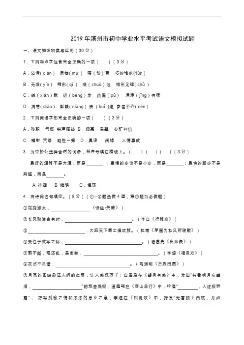 山东省滨州市2019届九年级下学期中考模拟语文试题2