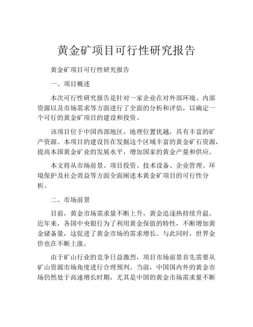 黄金矿项目可行性研究报告