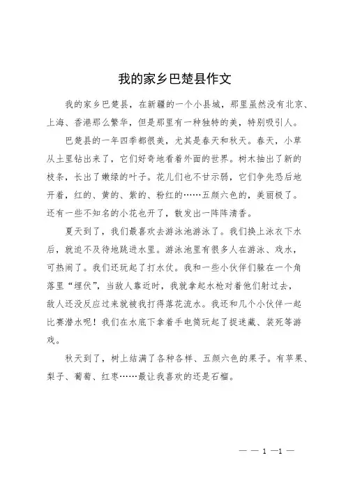 我的家乡巴楚县作文