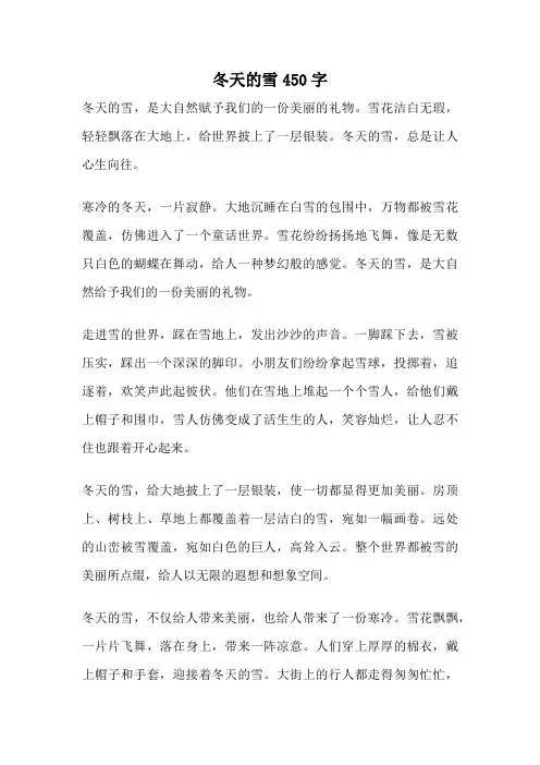 冬天的雪450字